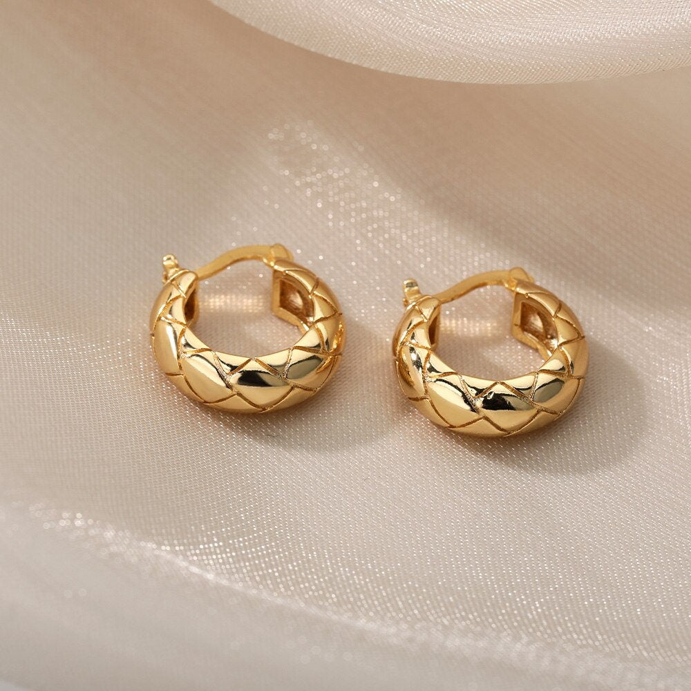 Snake Pattern Earrings, 18K Gold Snakeskin Hoop Earrings, Punk Fashion Earrings for Women, Gift for Her