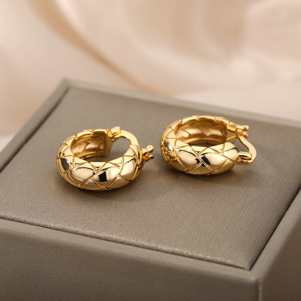 Snake Pattern Earrings, 18K Gold Snakeskin Hoop Earrings, Punk Fashion Earrings for Women, Gift for Her