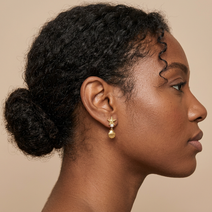 Shell Gold Drops
