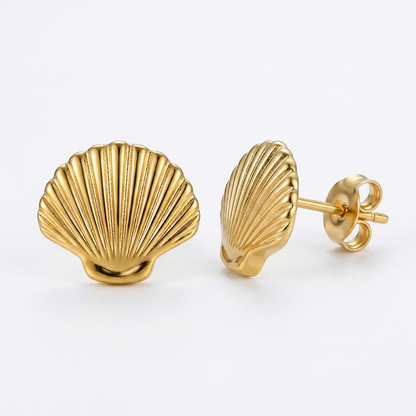 Shell Gold Studs