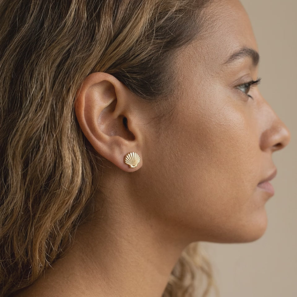 Shell Gold Studs
