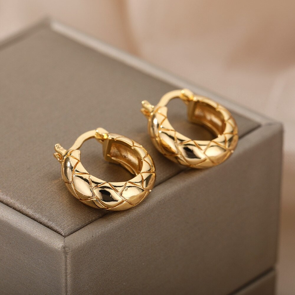 Snake Pattern Earrings, 18K Gold Snakeskin Hoop Earrings, Punk Fashion Earrings for Women, Gift for Her